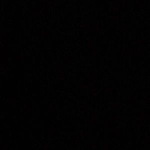 Meet your Posher, Lily